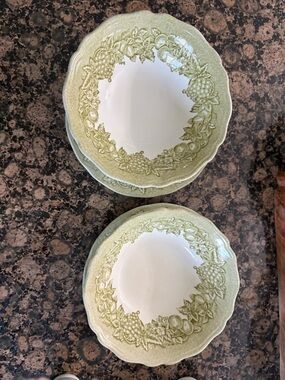 Green Fruit Wreath Ceramic Dinner Bowls and plates - Set of 2